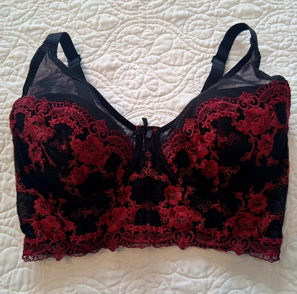 Fredricks Of Hollywood Black and Red Lace Long Line Bra